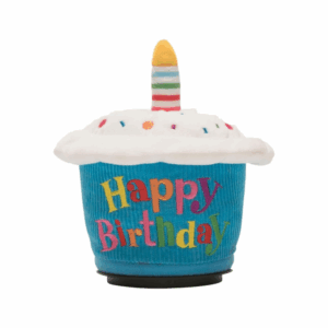 Birthday Cupcake Spinner