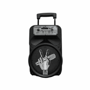 Karaoke The Voice 2 Bt Microphones