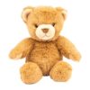 Eco-Friendly Teddy Bear 25Cm