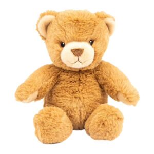 Eco-Friendly Teddy Bear 25Cm