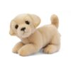 Dog Plush 20Cm (Various Models)