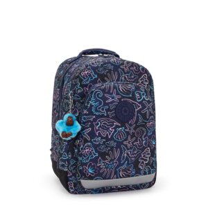 Class Room Backpack Disco Fish
