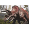 Triceratops Puzzle - Image 2