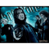 Harry Potter Slytherin Puzzle - Image 2