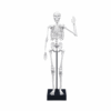 Buki France - Skeleton 80 Cm - Image 2