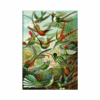 Puzzle Haeckel Hummingbirds 1500 Pieces - Image 2